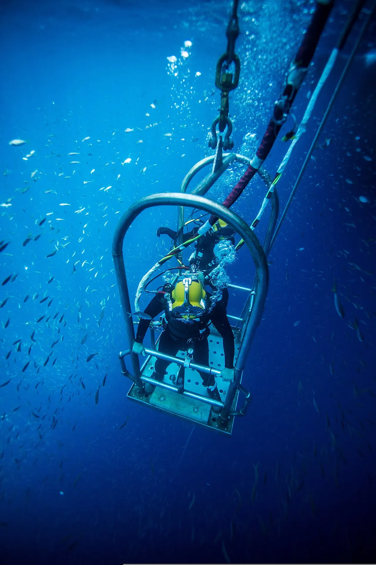 Divers riding a dive stage down through clear blue water